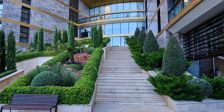 landscaping ROI Sunshine Coast