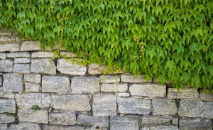 retaining walls Sunshine Coast